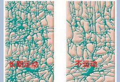 儿童快活视频APP18成年版下载厂家科普运动可以有效促进儿童智力发育