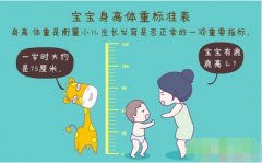 超声波快活视频IOS污版APP下载正确测量方法标准身高体