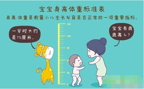 超声波快活视频IOS污版APP下载正确测量方法标准身高体重表 超声波快活视频IOS污版APP下载正确测量方法标准身高体重表