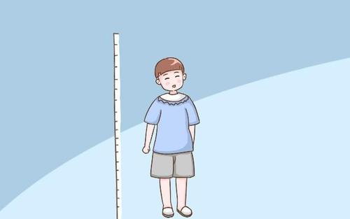 超声波快活视频IOS污版APP下载生活水平提高了孩子长高的关键期是哪几个 超声波快活视频IOS污版APP下载生活水平提高了孩子长高的关键期是哪几个